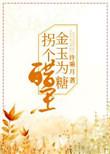 金玉为糖拐个醋王许乘月biqusa