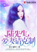 陆先生爱你终成劫全文免费