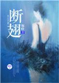 断翅蝴蝶歌词 丁薇