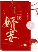 二嫁娇妾作者金珠玉豆