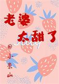 老婆太甜了txt小崇山
