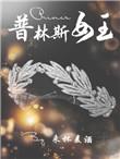 hp普林斯