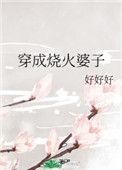 穿成烧火婆子txt