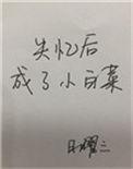 失忆后成了小白菜全文无弹窗
