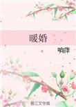 暖婚入骨傅少心尖宠