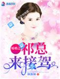 暖婚常情