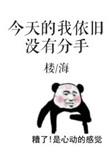 今天的我依旧没有分手 楼海讲的什么