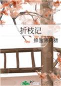 折枝记TXT百度资源