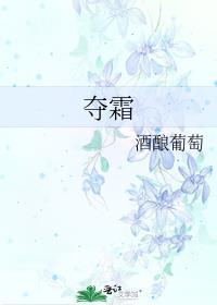 夺霜大结局是什么