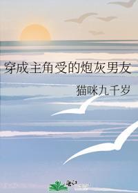 穿成主角受的炮灰男友段谢