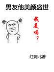 男朋友他美颜盛世