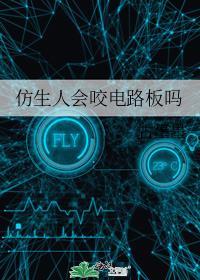 仿生人会咬电路板吗TXT百度