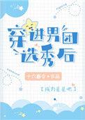 穿进男团选秀后by衣不沾海棠贺沐为什