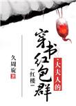 红楼之大夫人的系统