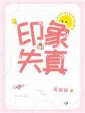印象失真毛球球