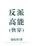 反派高能txt