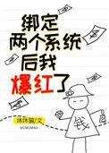 绑定两个系统后我爆红了穿书沐沐猫