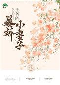王爷的暴娇小妻子在线观看
