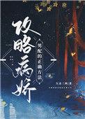 攻略病娇男配的正确方法讲的什么