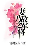 妻乃敌军之将宝书网
