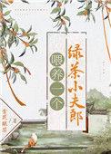 喂养一个绿茶小夫郎txt