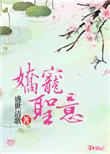 娇宠 全文免费阅读