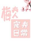梅夫人宠夫日常完结了吗