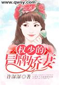 权少的替嫁萌妻全文免费阅读