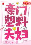 豪门塑料夫妇作者银八