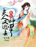 将军夫人又逃走了