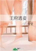 王府逃妾静夜网