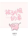 被驯服的象架子鼓谱