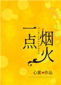 一点烟火番外 心裳