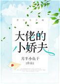 大佬的小娇夫动漫免费观看