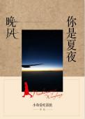 你是夏夜的风景什么歌
