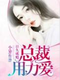 总裁使劲爱