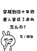穿越到了四十年后爱人变成了老头怎么办