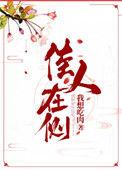佳人在侧讲了什么