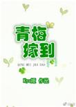 青梅嫁到第一季