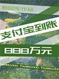 支付宝到账1000000元