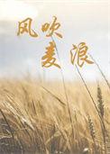 风吹麦浪的歌词