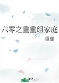 六零之重重组家庭的大结局