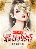 重生之最佳再婚免费