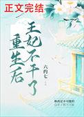 重生后王妃不好惹