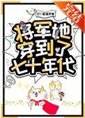 将军她穿到了七十年代3Q读书网