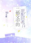 二婚文推荐