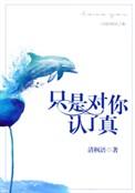 只是对你认了真清枫语