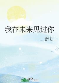 我在未来见过你by醉灯txt