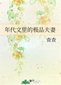 年代文里的极品夫妻213