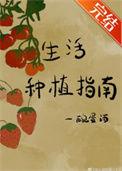 家庭种植生菜方法
